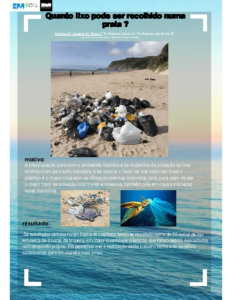 Quanto lixo pode ser recolhido numa praia