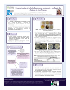 Caracterização de isolados bacterianos ambientais e avaliação da eficácia de desinfetantes