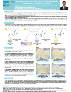 Simulação ex-vivo dos fenómenos de desmineralização e remineralização em dentes humanos