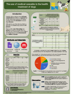 The use of medical cannabis in the health treatment of dogs