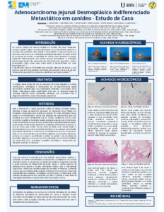 Adenocarcinoma Jejunal Desmoplásico Indiferenciado Metastático em canídeo – Estudo de Caso