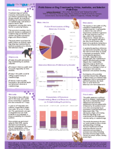 Public Stance on Dog Crossbreeding – Ethics, Aesthetics, and Selection Preferences